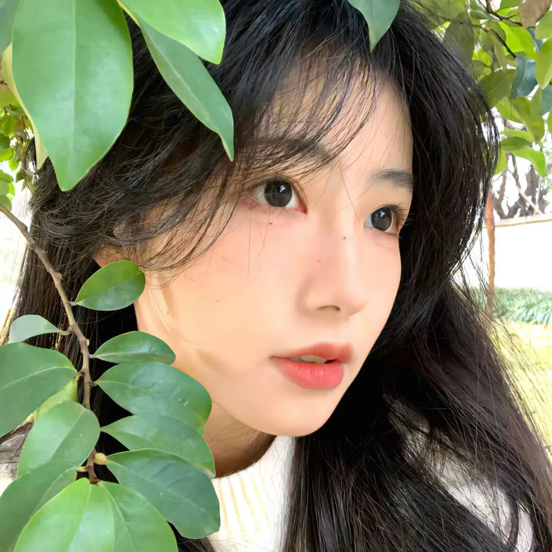 权欲第六季